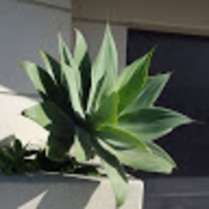 Meet your Posher, Terri